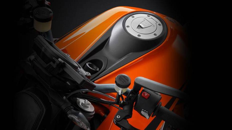 Seu DNA agressivo atinge a expressão máxima | <a href="https://preprod.quatrorodas.abril.com.br/moto/noticias/ktm-revela-1290-super-duke-r-2014-755875.shtml" rel="migration">Leia mais</a>