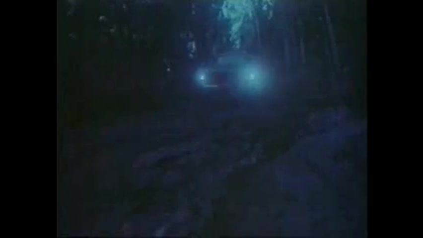 Chevrolet Pick-up 1983