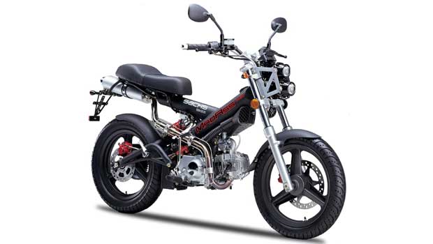 Sachs MadAss 125 Sachs MadAss 125