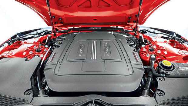648_jaguar_10.jpeg 648_jaguar_10.jpeg
