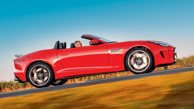 648_jaguar_02.jpeg 648_jaguar_02.jpeg