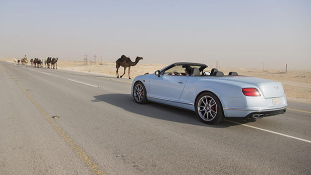 bentley-versus-trem-2.jpeg bentley-versus-trem-2.jpeg