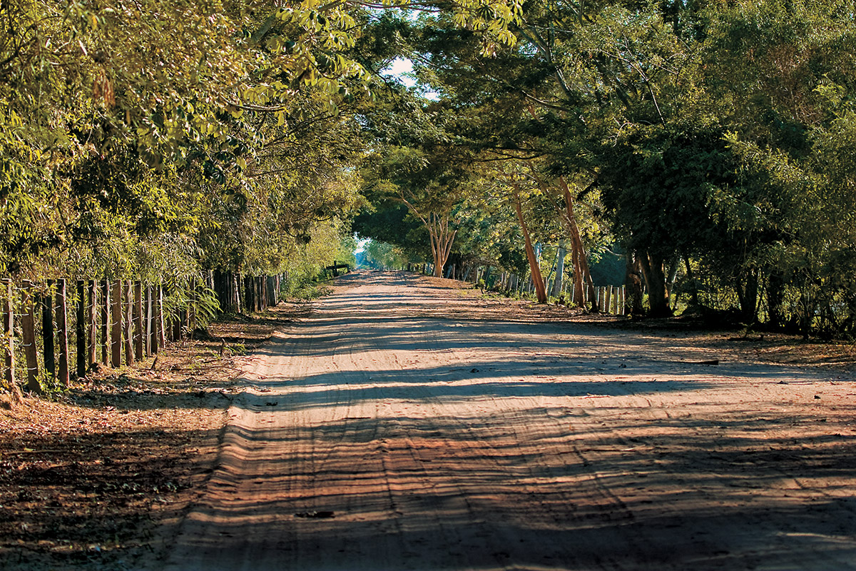 Estrada Parque do Pantanal