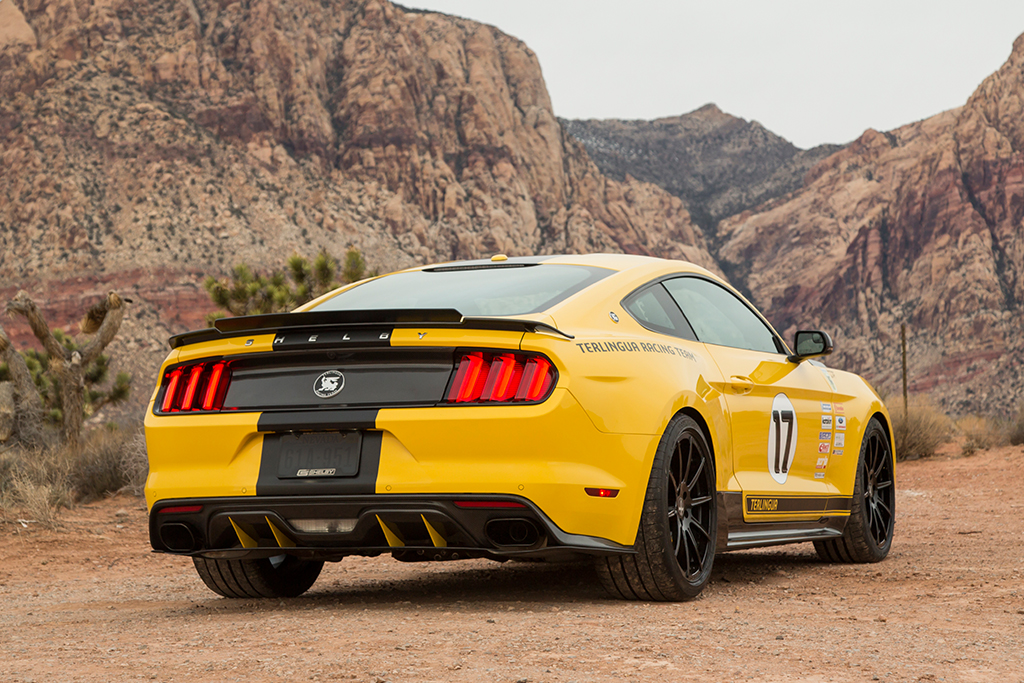 Shelby Terlingua Mustang Shelby Terlingua Mustang