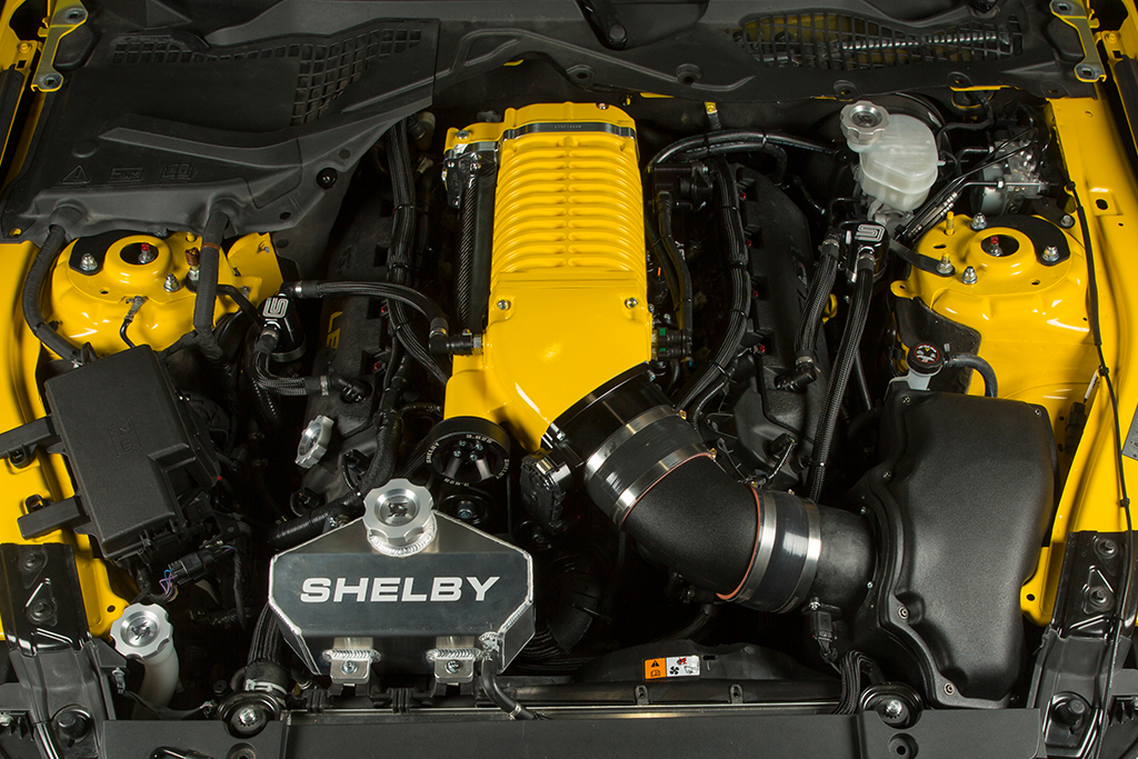 Shelby Terlingua Mustang Shelby Terlingua Mustang