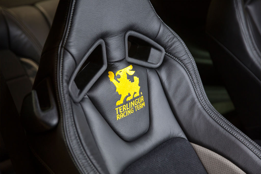 Shelby Terlingua Mustang Shelby Terlingua Mustang