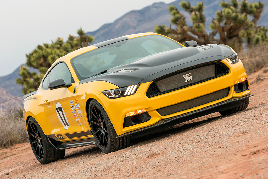 Shelby Terlingua Mustang Shelby Terlingua Mustang