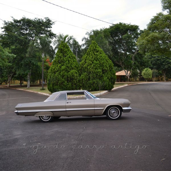 Impalas furtados em São Paulo são localizados