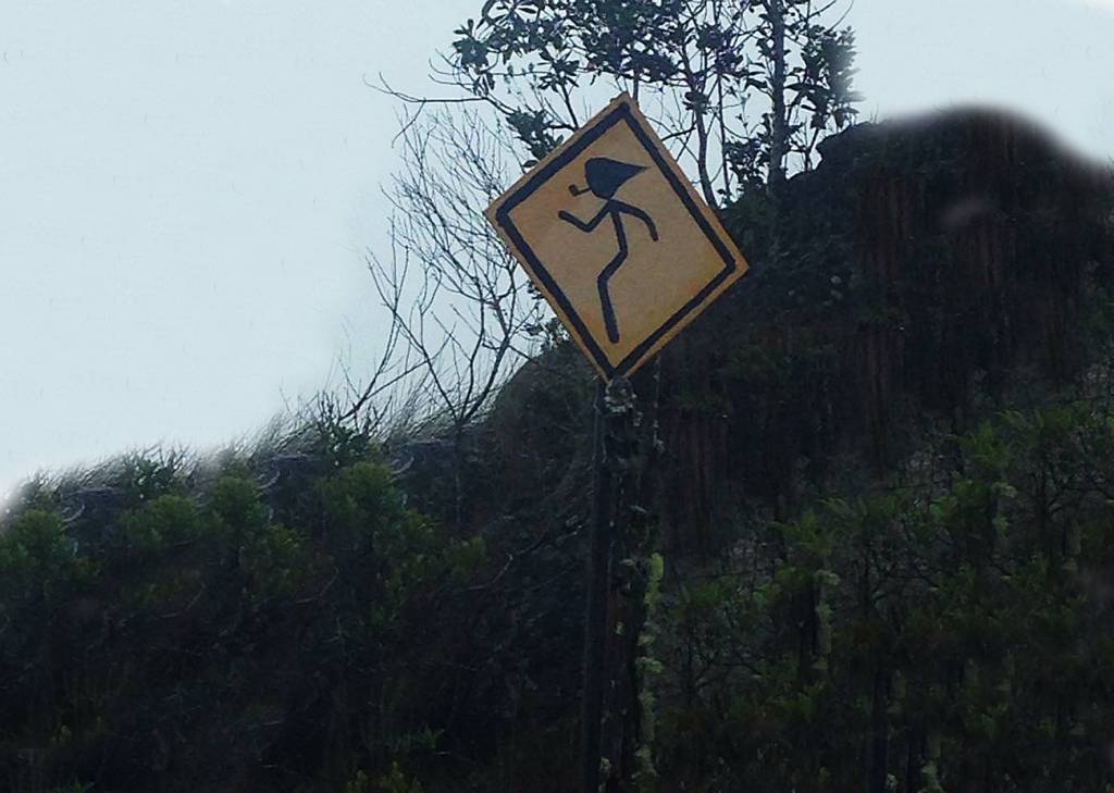 Viva voz Na Serra da Bocaina (SP/RJ), a placa mostra que os sacis têm tratamento preferencial ao atravessar a rua
