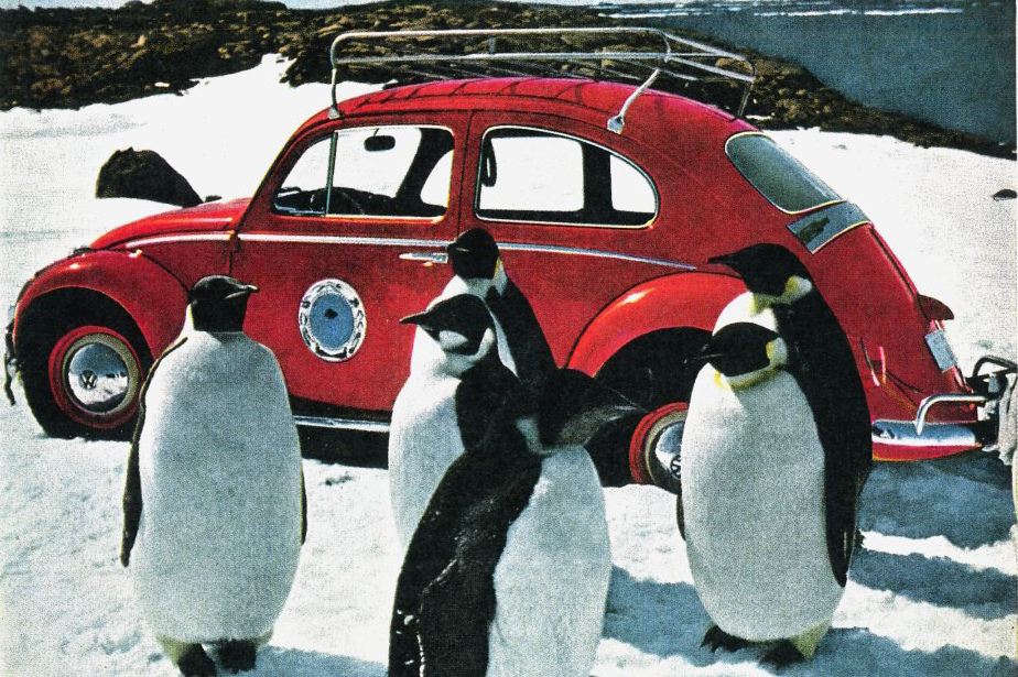 fusca-red-terror-antartida-4 Fusca Red Terror Antártida