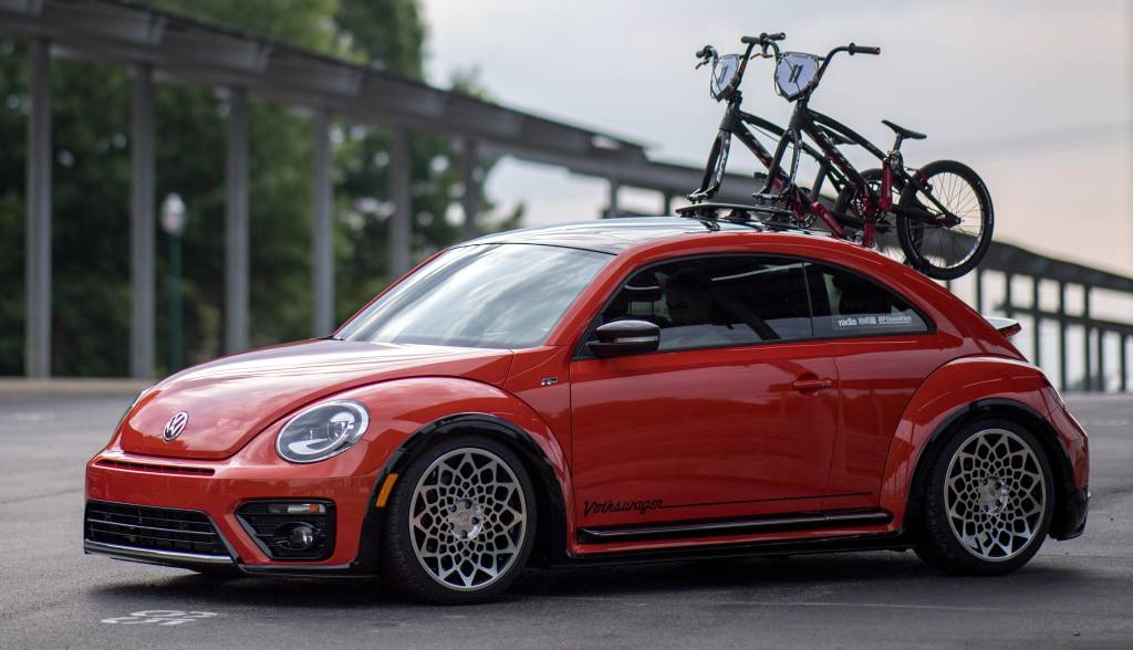beetle_post_concept_7185