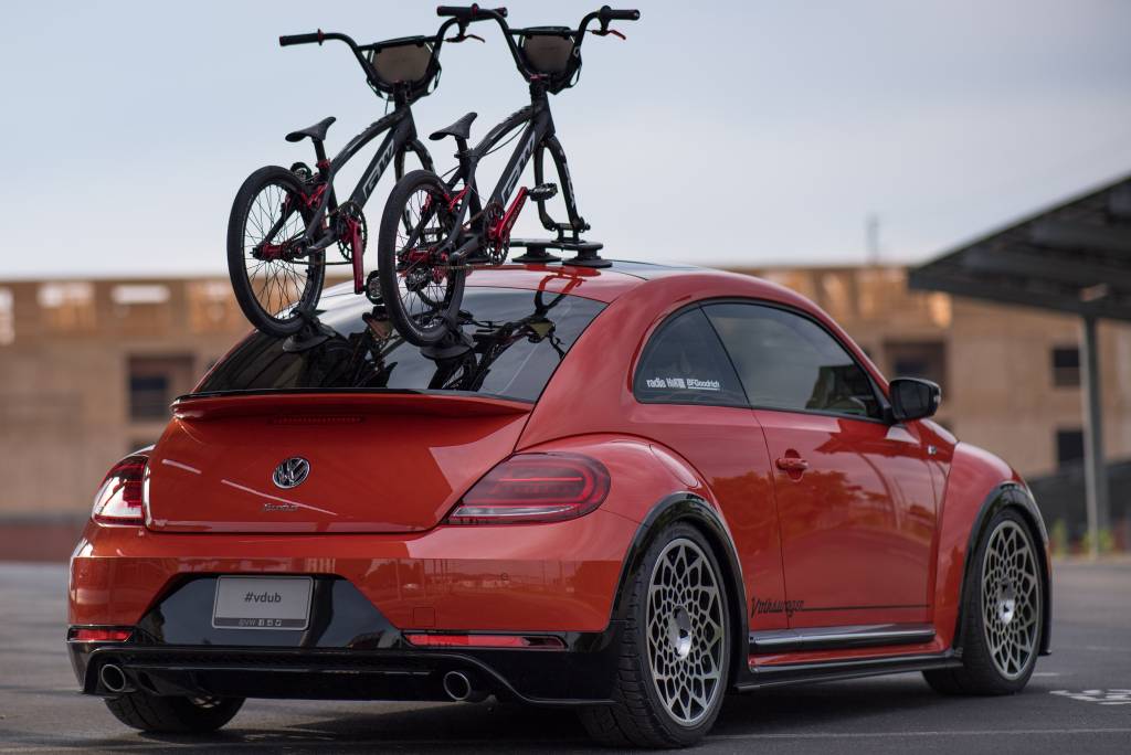beetle_post_concept_7186