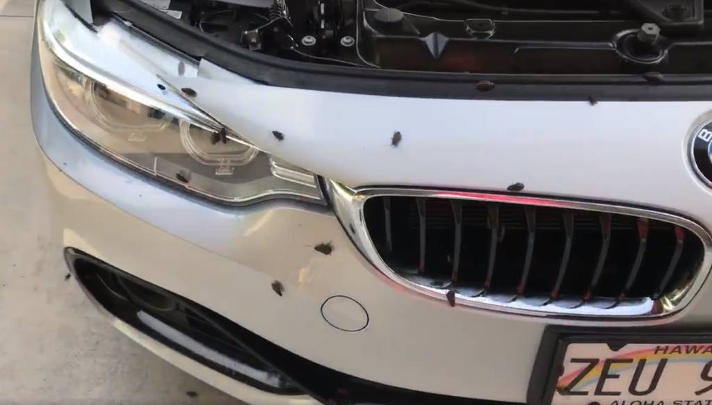 BMW Barata