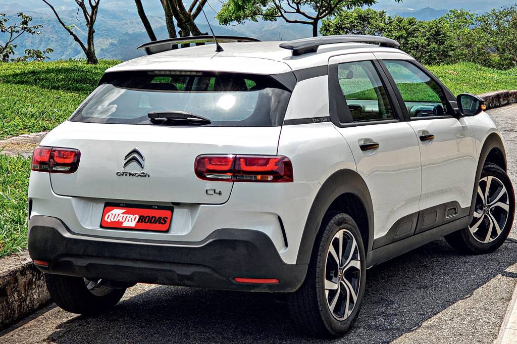 C4 Cactus Longa Duração 1 C4 Cactus Longa Duração 1