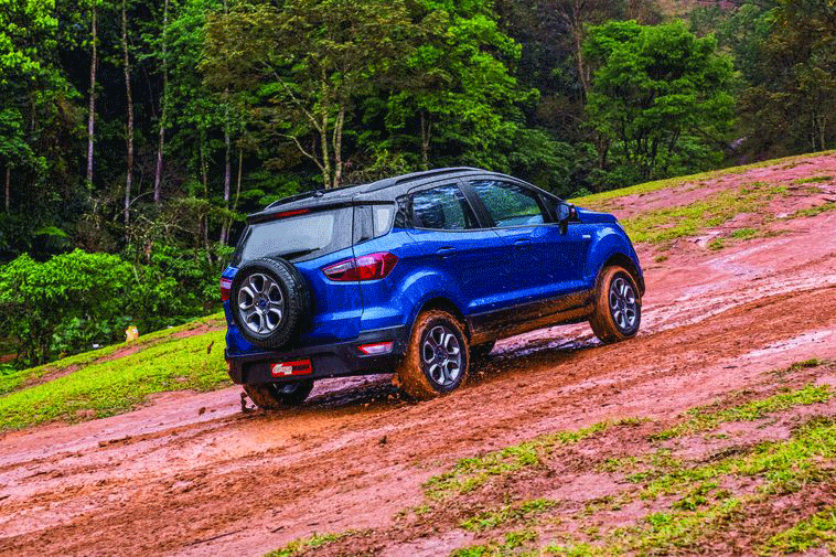 Ecosport 100 Anos