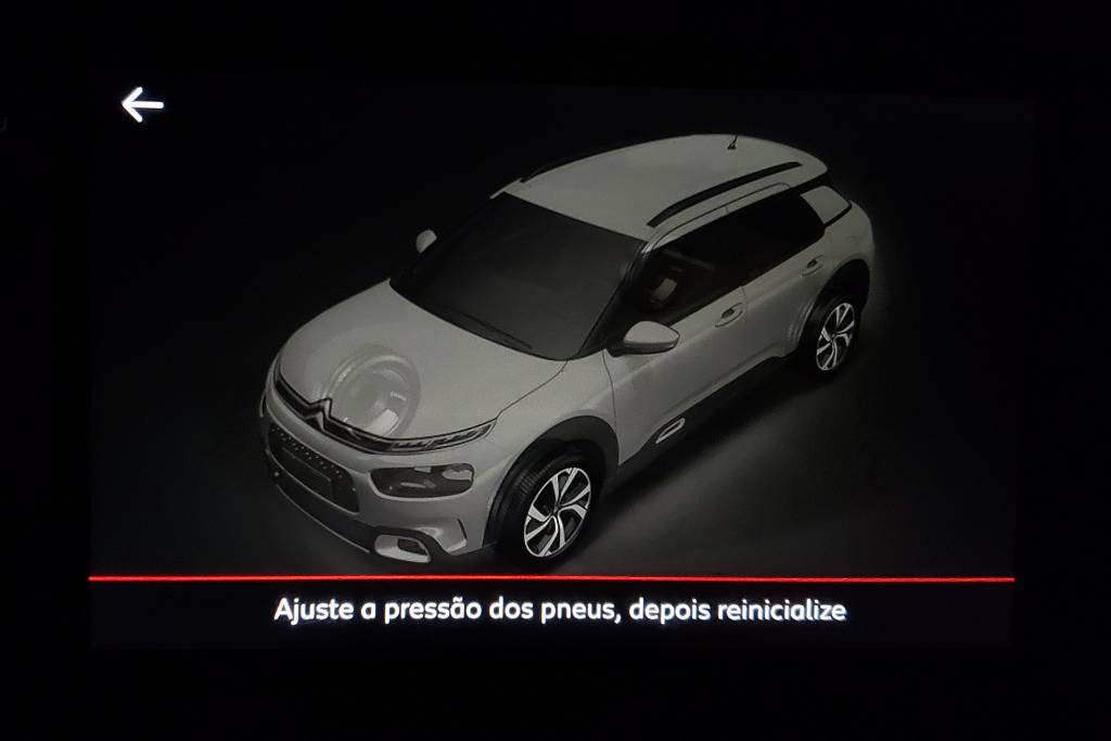 tpms c4 cactus tpms c4 cactus
