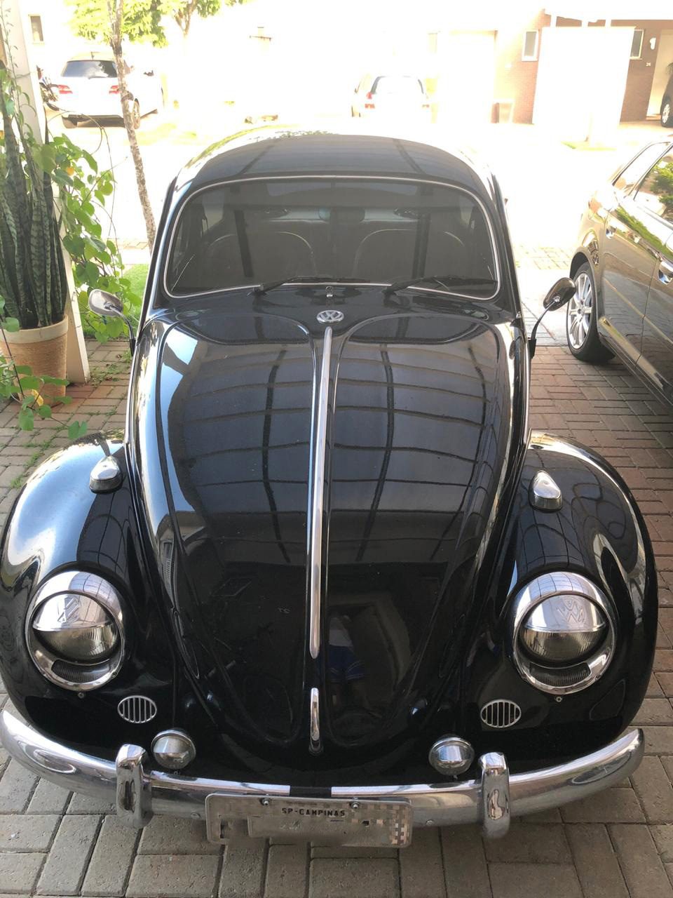 Fusca 66 Neto (1) Fusca 66 Neto (1)
