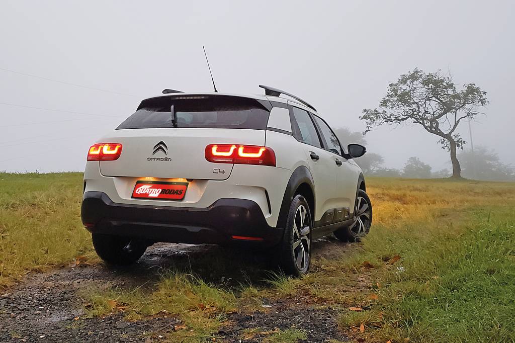 Longa Duração C4 Cactus Longa Duração C4 Cactus