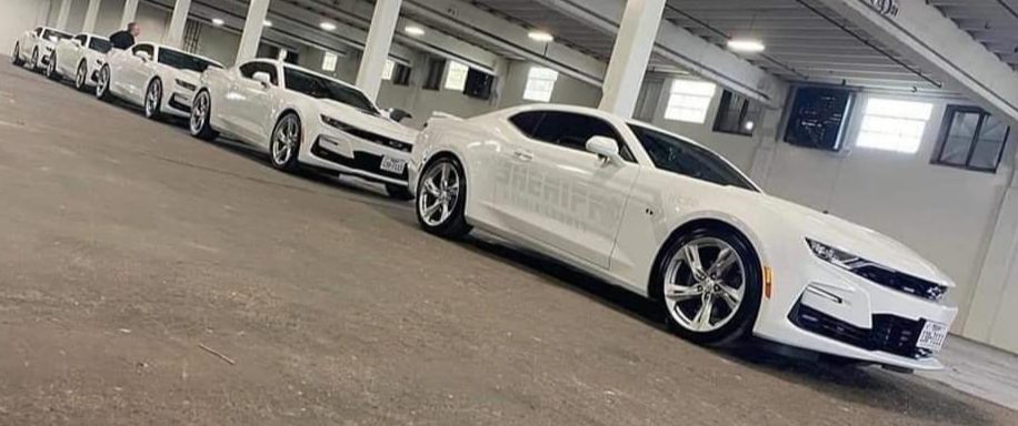 Chevrolet Camaro com pintura fantasma Cinco Chevrolet Camaros brancos com pintura fantasma