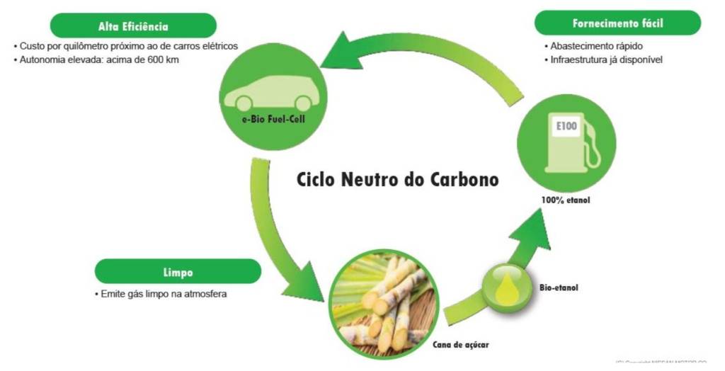 p1 sistema do que mostra o ciclo do carbono emitido pelo SOFC