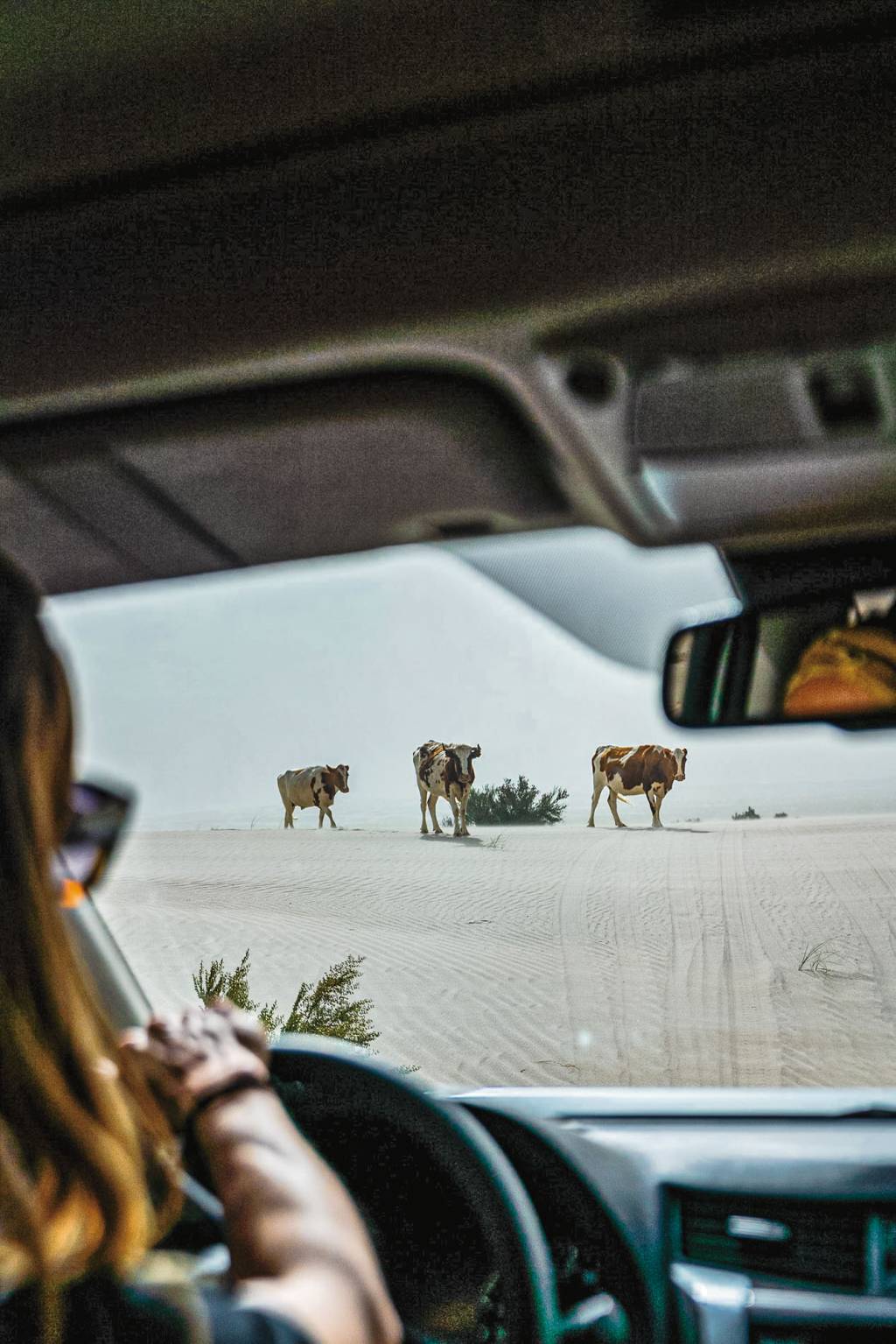 Viagem Frontier Viagem Frontier