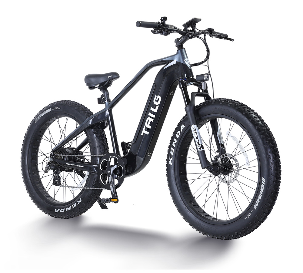 Bicicleta elétrica da TAILG Bicicleta elétrica da TAILG