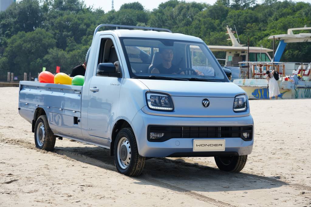 Foton Wonder de cabine simples