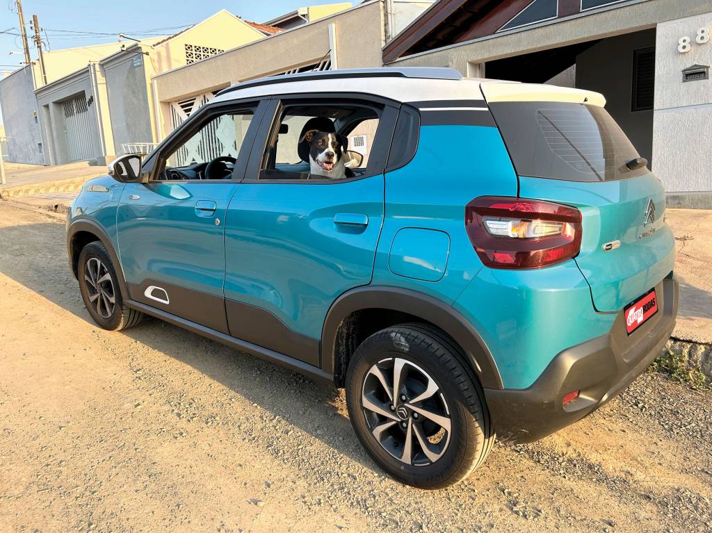 Longa Duração: Citroën C3 e o jeito certo de transportar o cachorro no carro