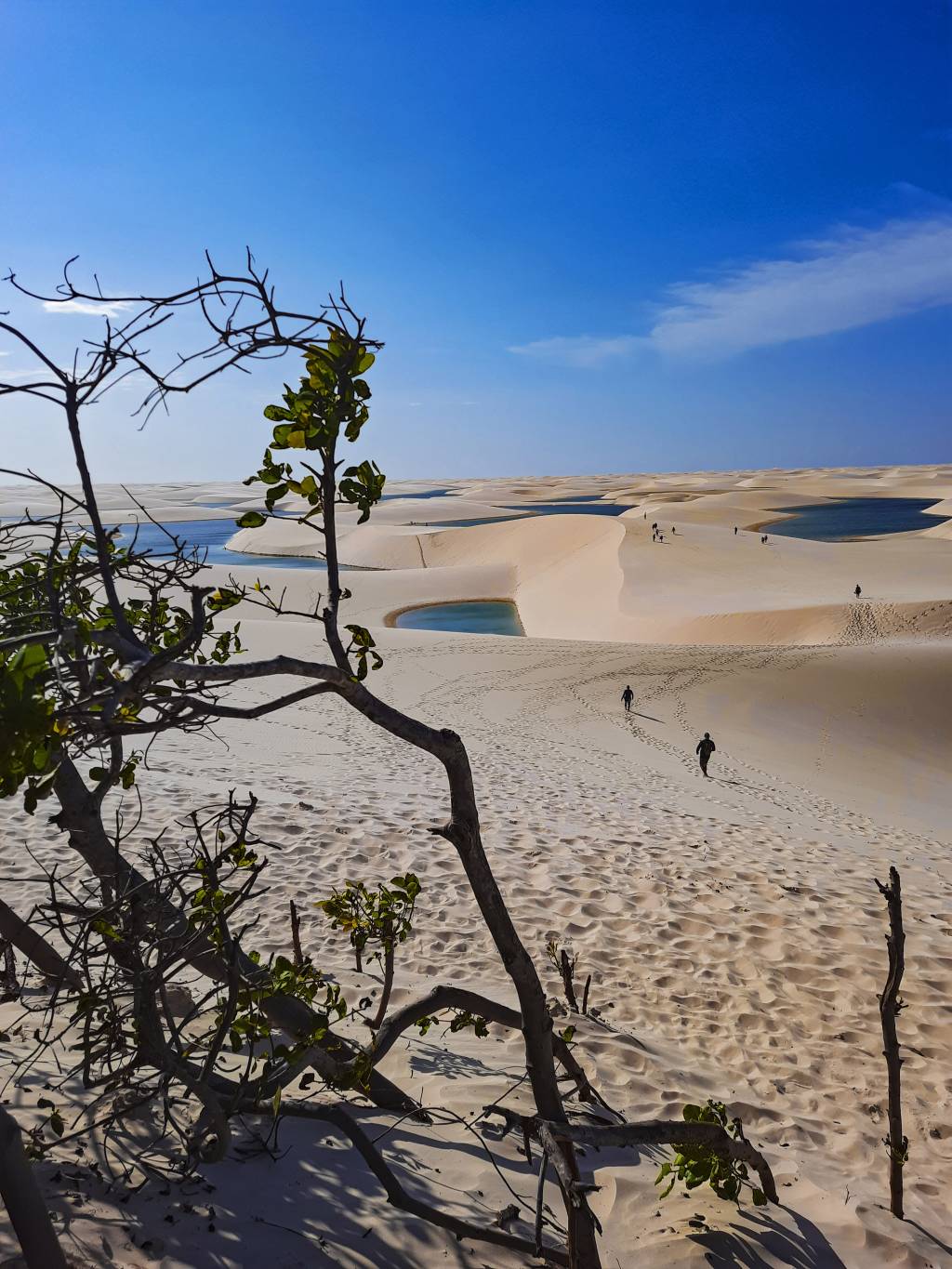 FOTO27_Vista aérea dos Lençóis Maranhenses, Maranhão_CREDITO_Rafael Cunha Vista dos Lençóis Maranhenses, Maranhão