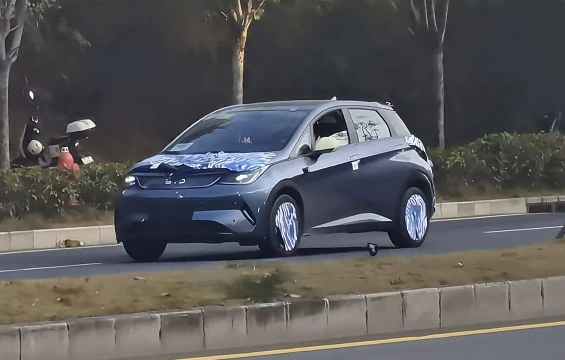 flagra BYD Dolphin