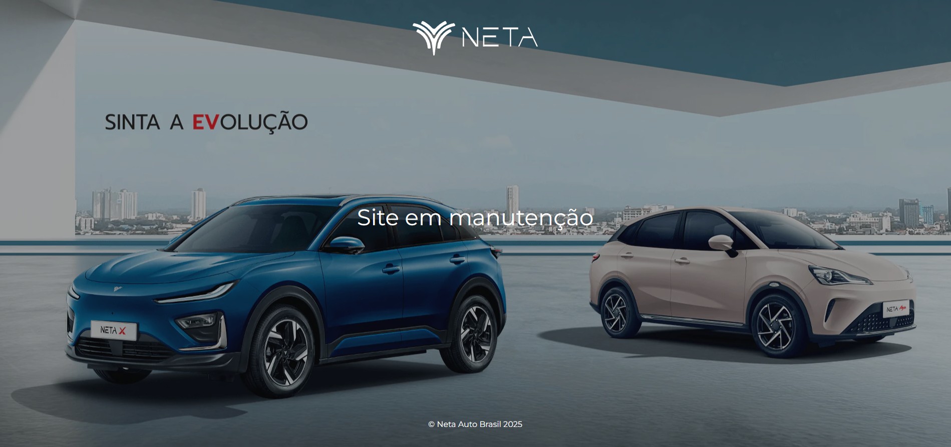 site neta
