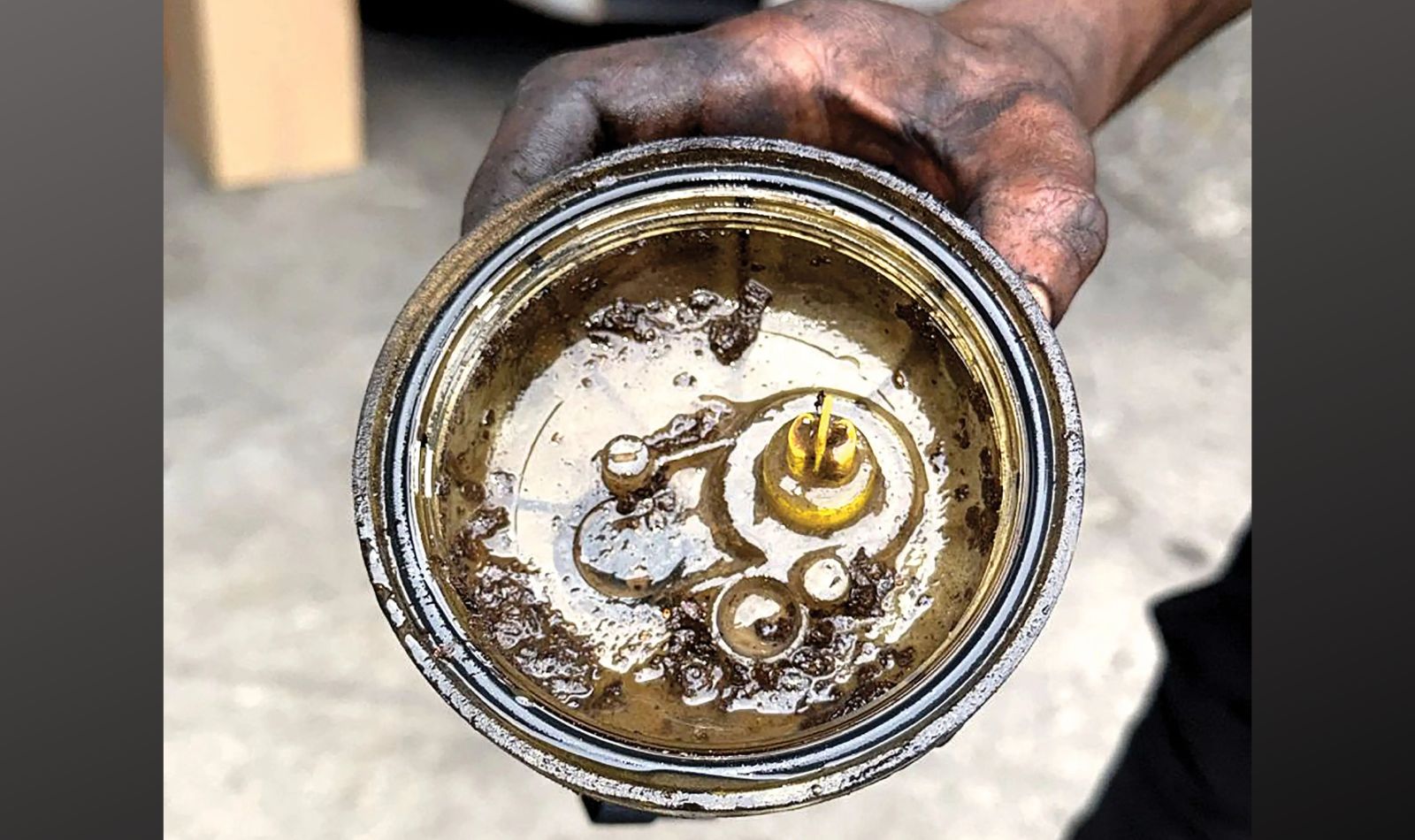 Borra de biodiesel